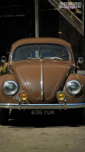 59SplitBeetle_Watermarked12