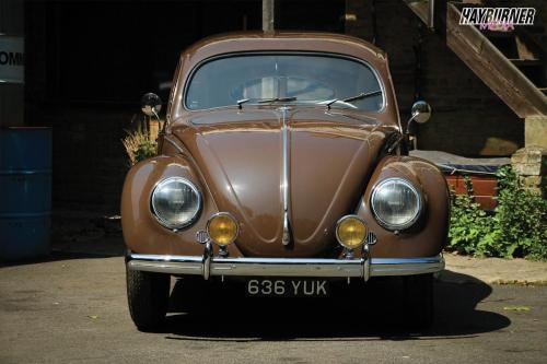 59SplitBeetle_Watermarked13