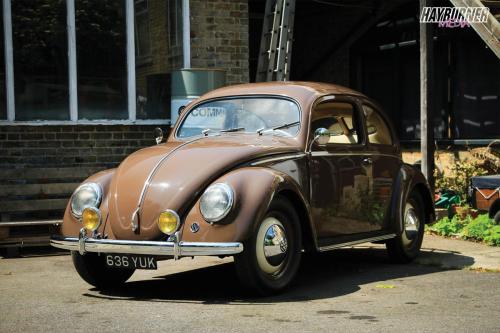 59SplitBeetle_Watermarked14