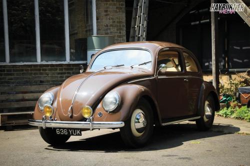 59SplitBeetle_Watermarked15