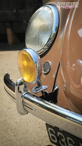 59SplitBeetle_Watermarked16