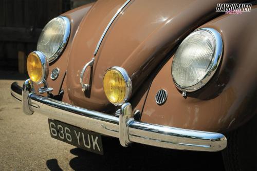 59SplitBeetle_Watermarked17