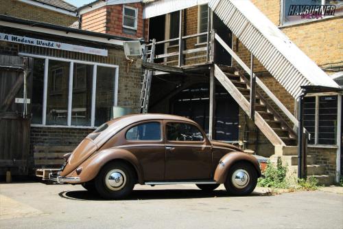 59SplitBeetle_Watermarked2