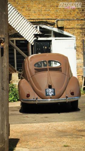 59SplitBeetle_Watermarked4