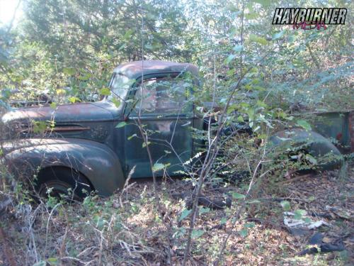 TheHunt_Watermarked22