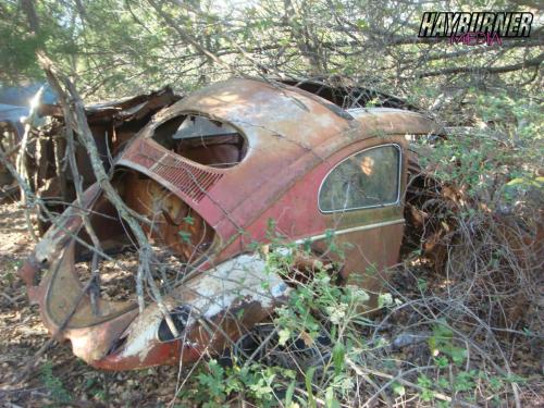 TheHunt_Watermarked24