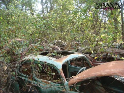 TheHunt_Watermarked28