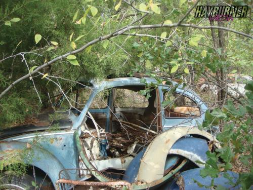TheHunt_Watermarked29